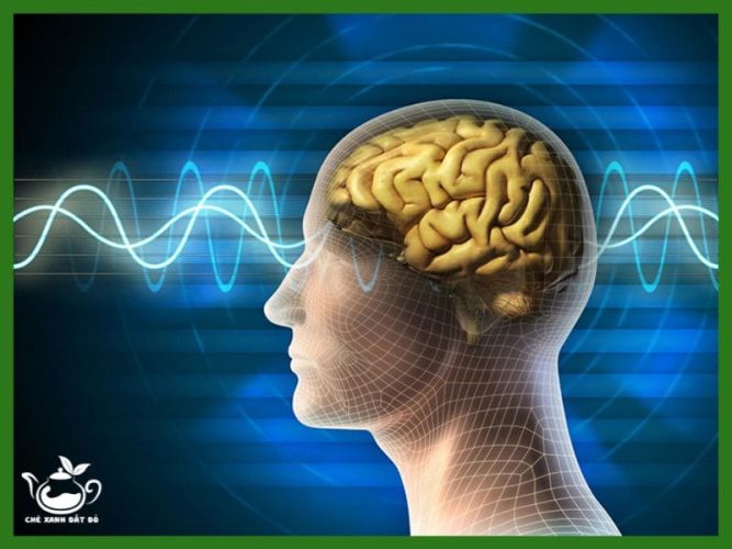 Bột Rau Má Có Tác Dụng Gì?