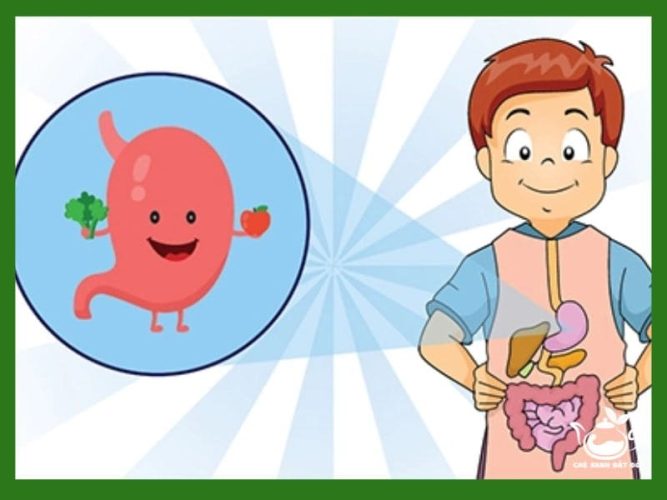 Công Dụng Của Trà Gạo Lứt