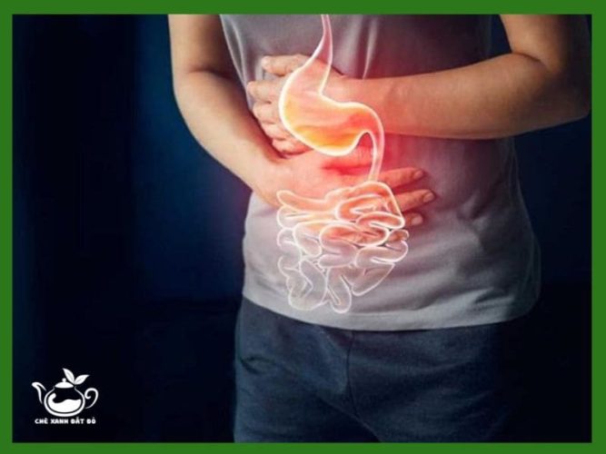 Tác Dụng Của Trà Sâm Dứa