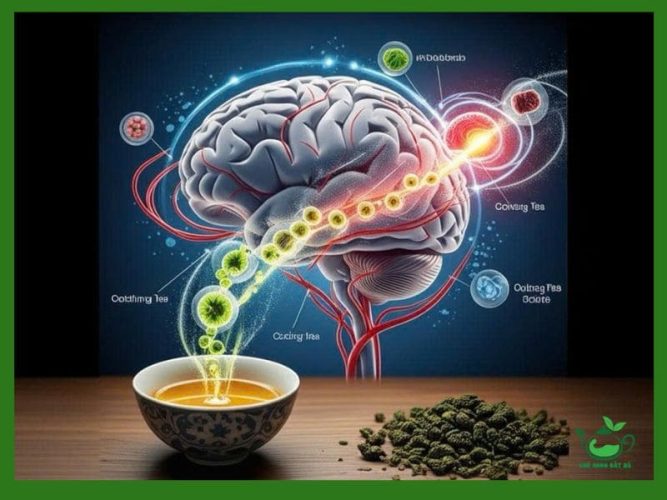 công dụng của trà ô long