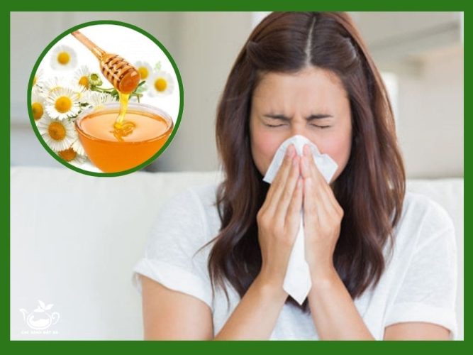 Trà Hoa Cúc Mật Ong