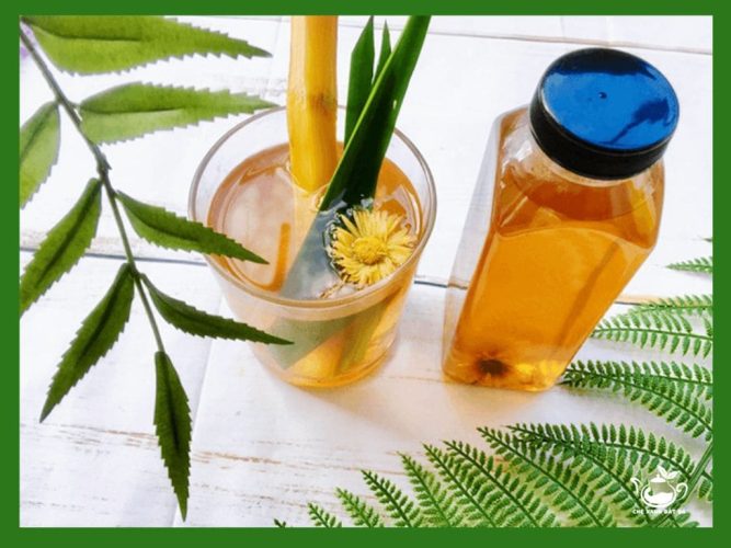 Uống nước rễ cỏ tranh giúp dễ tiêu hóa