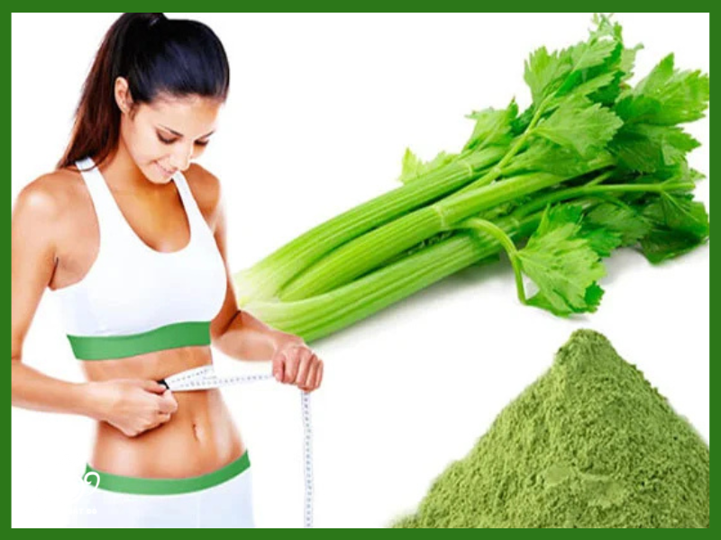 Công dụng của bột cần tây hỗ trợ giảm cân
