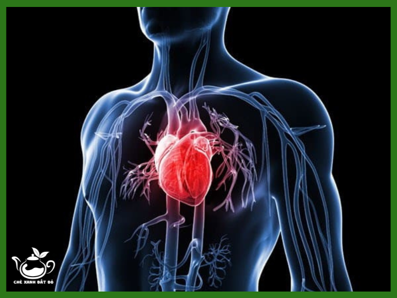 Công dụng của bột cần tây hỗ trợ tim mạch