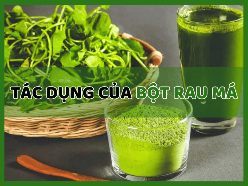 Bột Rau Má Có Tác Dụng Gì?