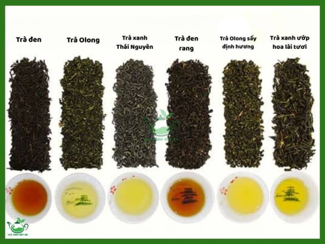 Các Loại Trà Ngon