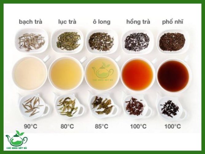 Các Loại Trà Ngon
