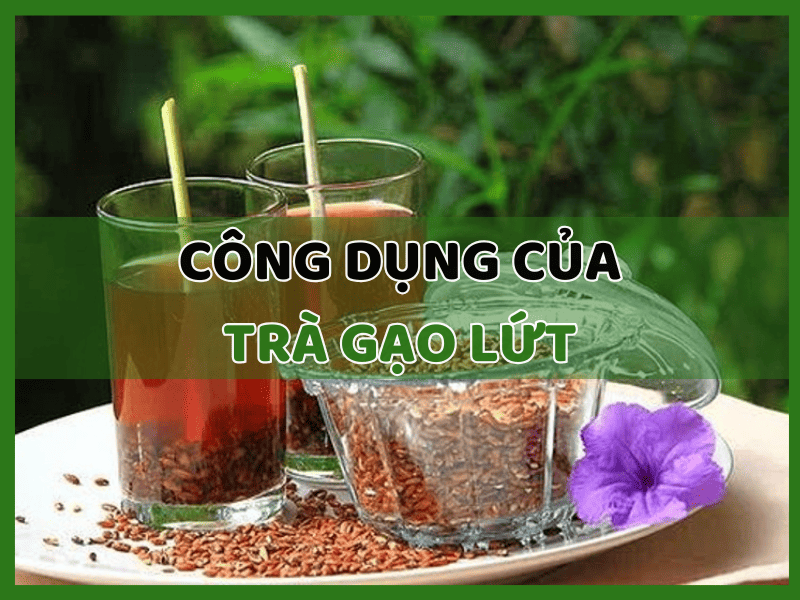 Công Dụng Của Trà Gạo Lứt