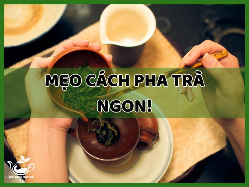 cách pha trà ngon