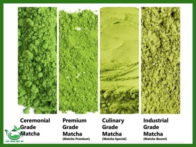 cach-phan-biet-cac-loại-bot-matcha-ngon