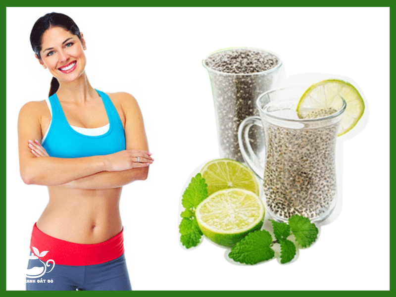 Tác dụng của hạt é hỗ trợ giảm cân