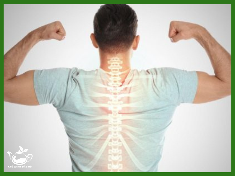 Công dụng của hạt é hỗ trợ chắc xương