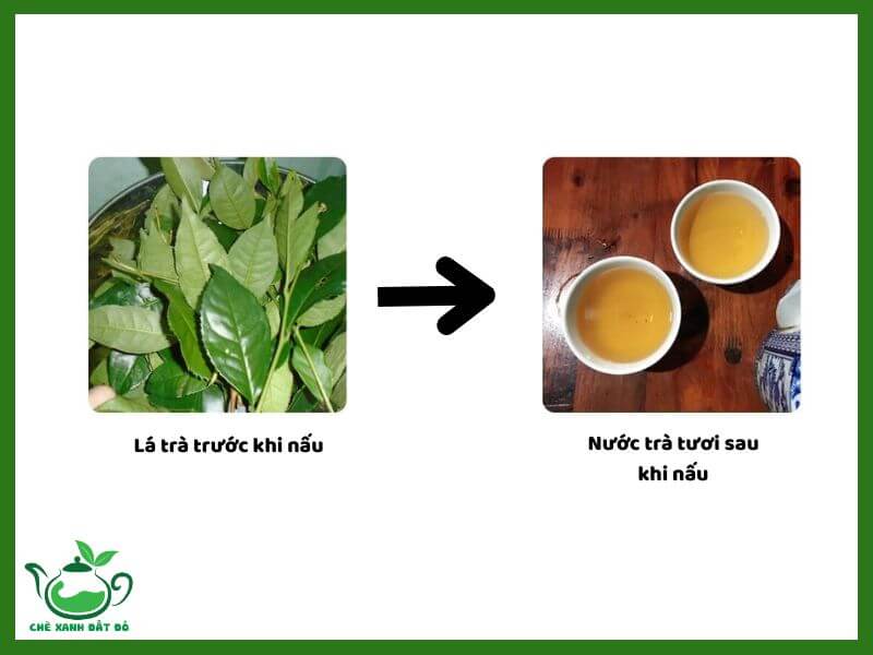 Tác Dụng Của Trà Xanh Tươi