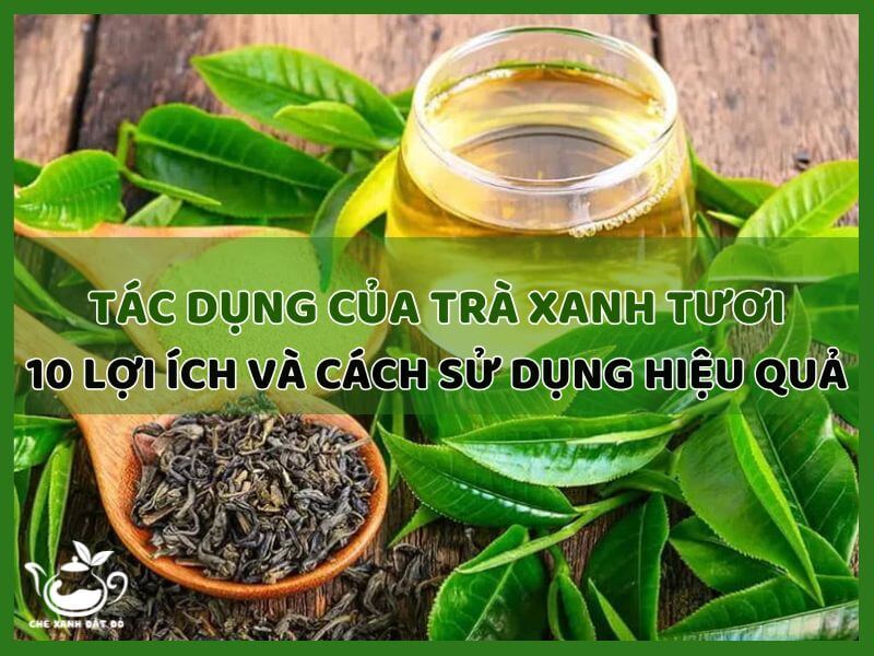 Tác Dụng Của Trà Xanh Tươi