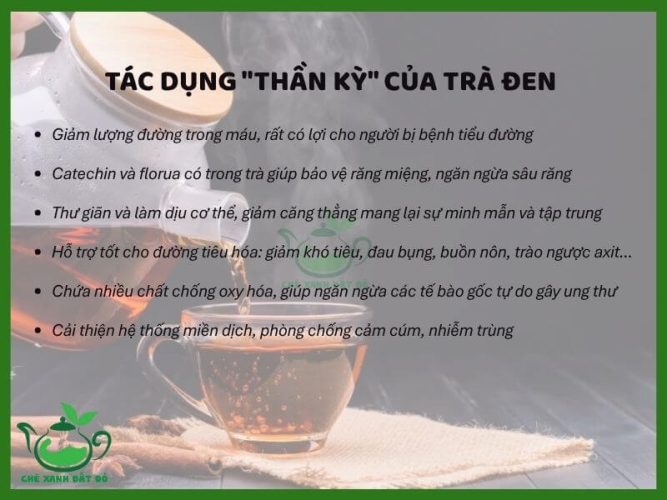 trà đen là gì
