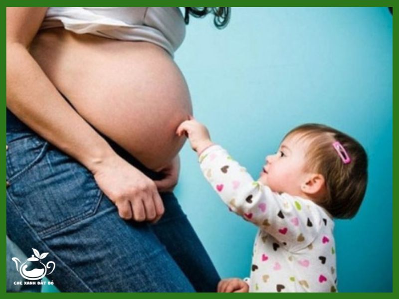 tác dụng của lá đinh lăng