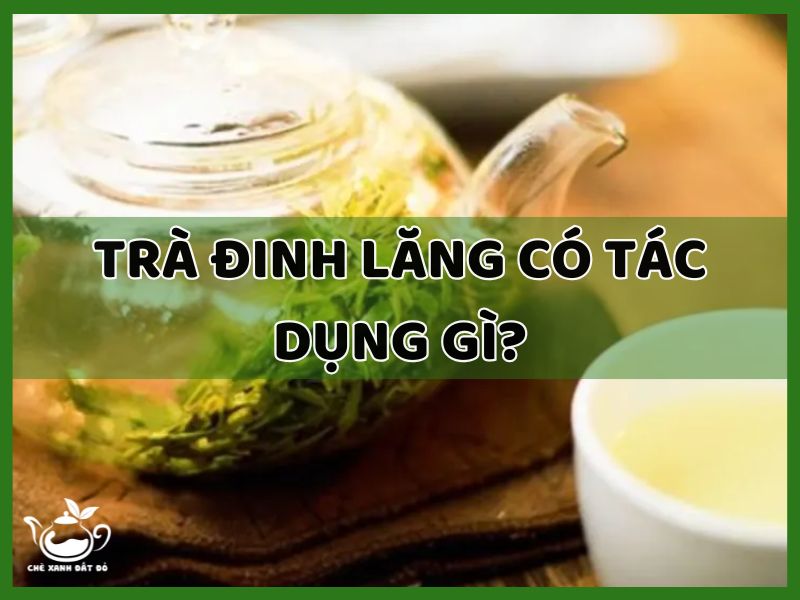 trà đinh lăng có tác dụng gì