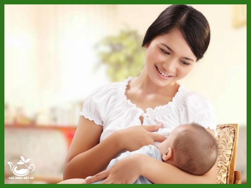 công dụng trà gạo lứt đậu đen
