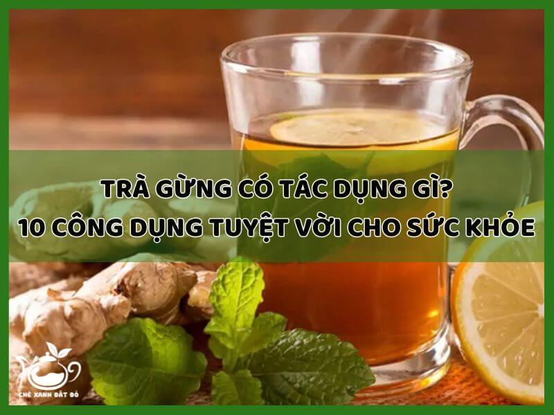 tra-gung-co-tac-dung-gi