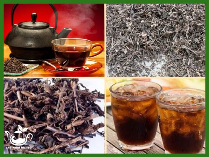 uống trà nhân trần có tác dụng gì