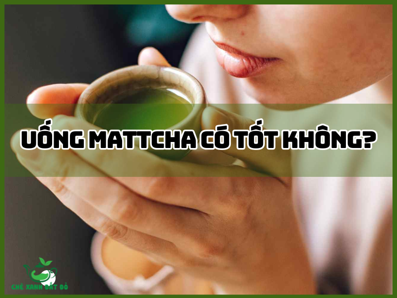 Uống Matcha có tốt không?