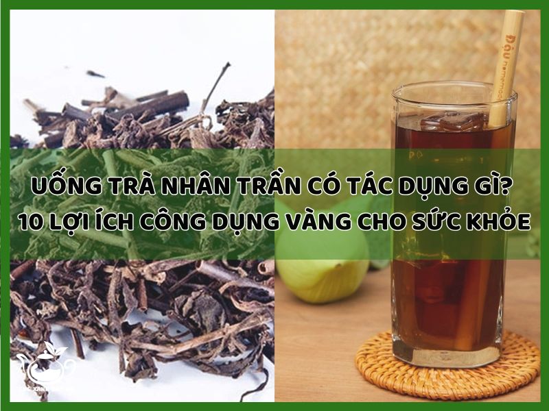 uong-tra-nhan-tran-co-tac-dung-gi