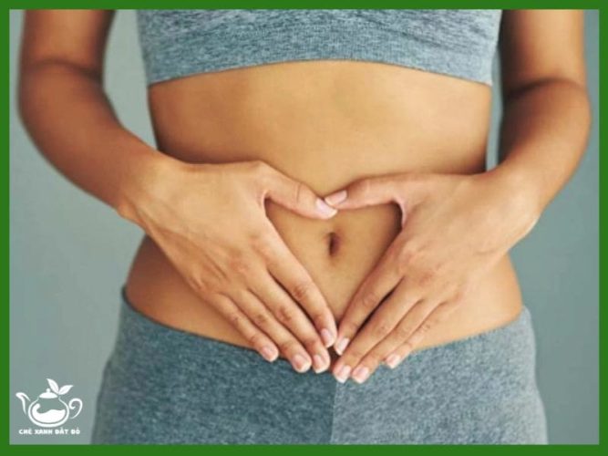 8 Tác dụng của bột diếp cá