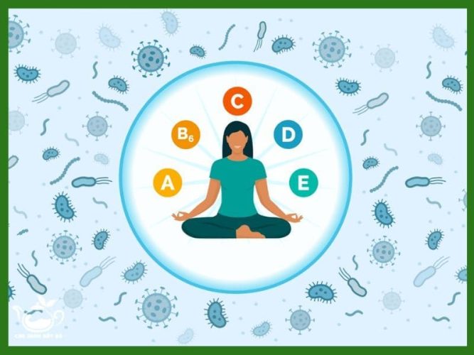 8 Tác dụng của bột diếp cá