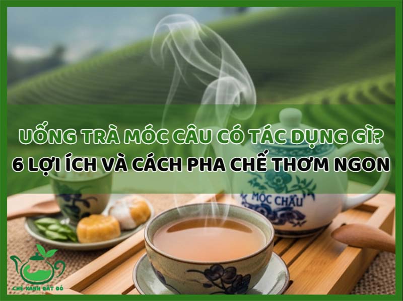 Uống Trà Móc Câu Có Tác Dụng Gì