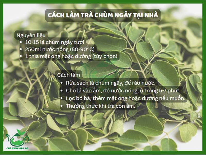 Trà Chùm Ngây Có Tác Dụng Gì? 