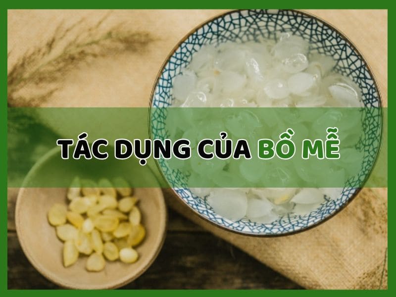 6 tác dụng của bồ mễ