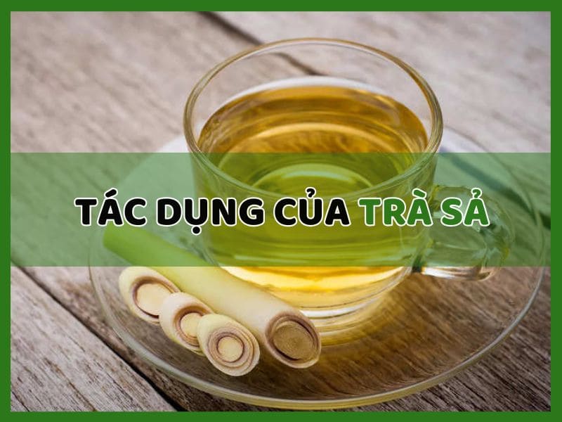 12 Tác Dụng Của Trà Sả