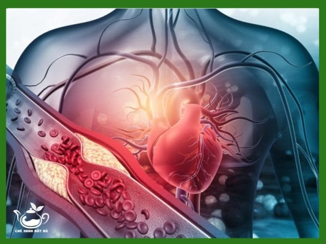 12 Tác Dụng Của Trà Sả