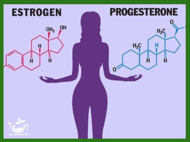 6 Tác Dụng Của Trà Thìa Là Có Thể Bạn Chưa Biết