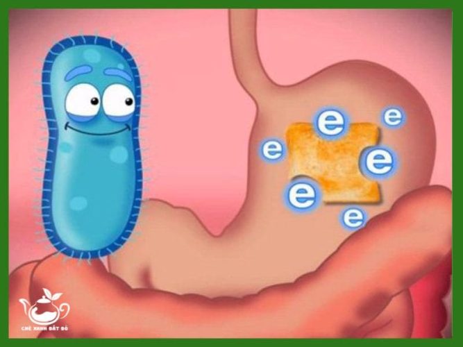 6 Tác Dụng Của Trà Thìa Là Có Thể Bạn Chưa Biết