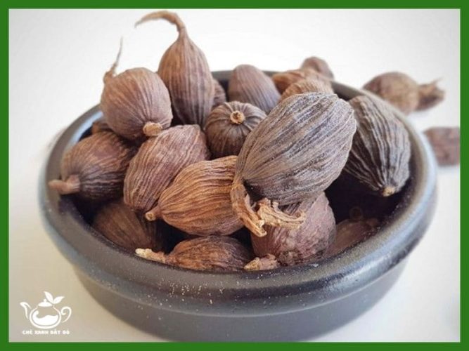 Thảo Quả Có Công Dụng Gì?