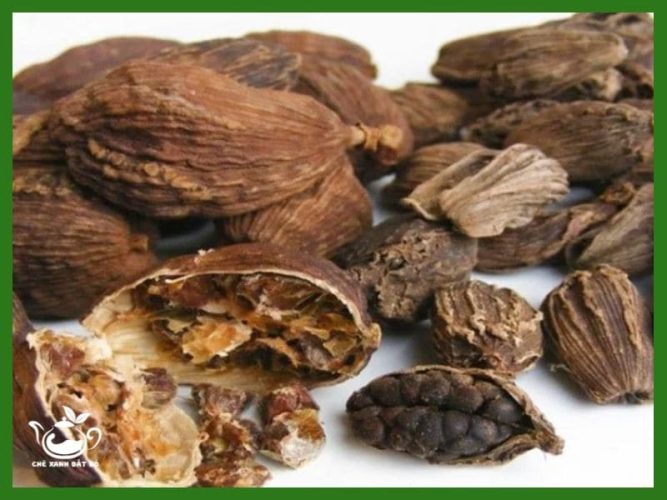 Thảo Quả Có Công Dụng Gì?