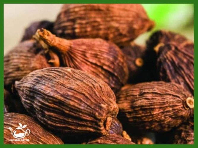 Thảo Quả Có Công Dụng Gì?