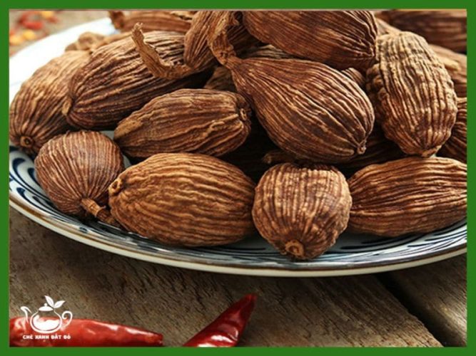 Thảo Quả Có Công Dụng Gì?
