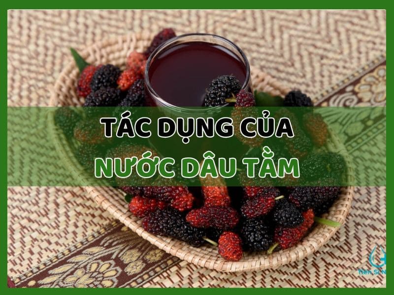 Tác dụng của nước dâu tằm