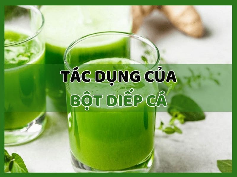 Tác dụng của bột diếp cá