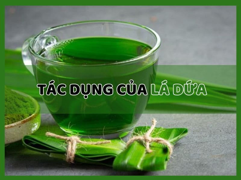 Tác Dụng Của Lá Dứa