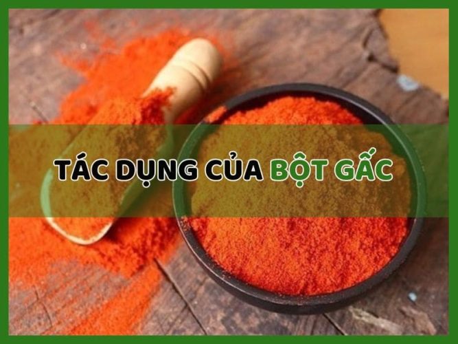 tác dụng của bột gấc