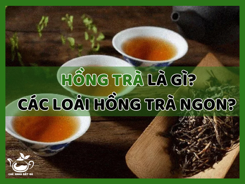 Hồng trà là gì