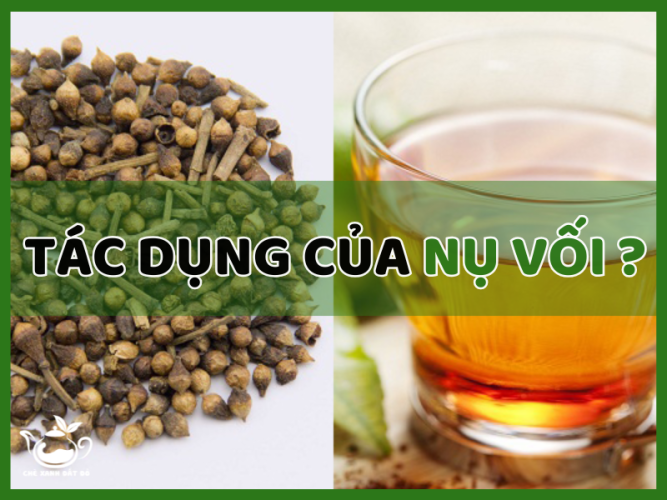 Tác dụng của nụ vối