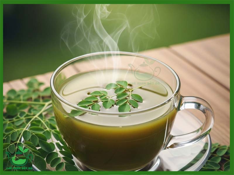 Trà Chùm Ngây Có Tác Dụng Gì? 