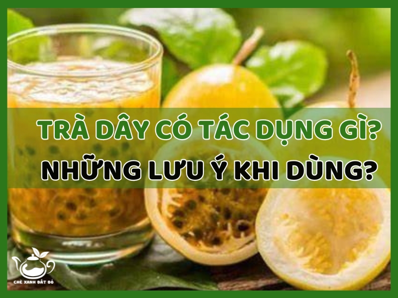 Trà dây có tác dụng gì