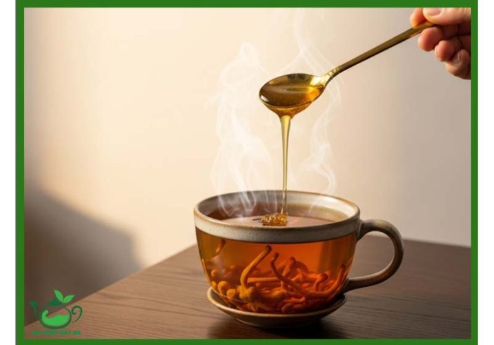 Trà Đông Trùng Hạ Thảo Có Tác Dụng Gì?