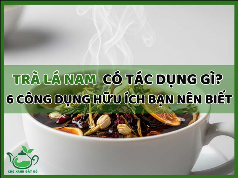 Trà Lá Nam Có Tác Dụng Gì