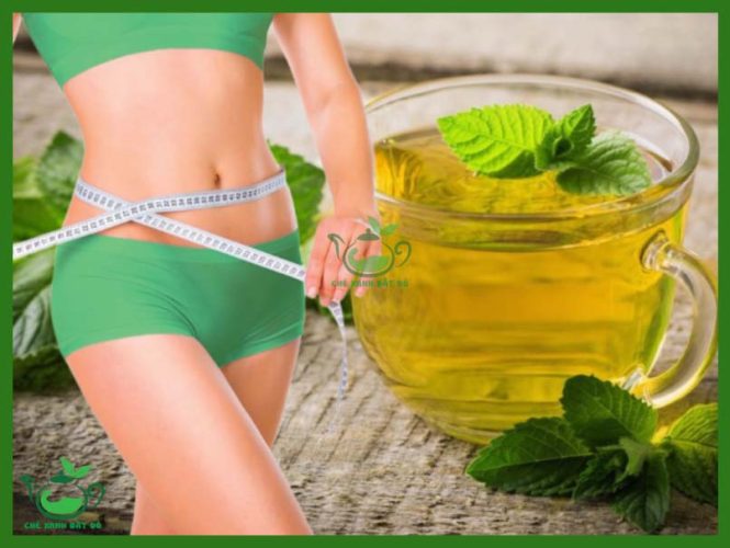 Trà Lá Nam Có Tác Dụng Gì